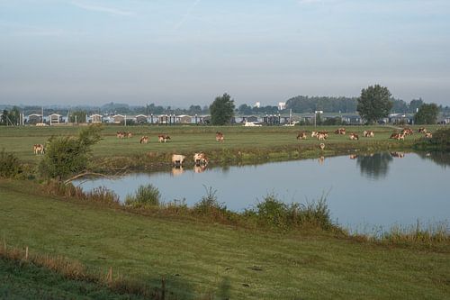 De Betuwe: natuur, recreatie en techniek