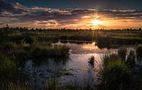 Zonsondergang op de engbertsdijksvenen