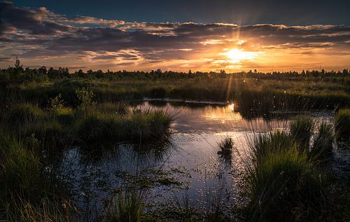 Sonnenuntergang auf dem engbertsdijksvenen