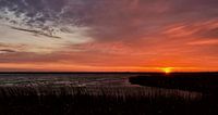 Sonnenaufgang auf den Oostvaardersplassen