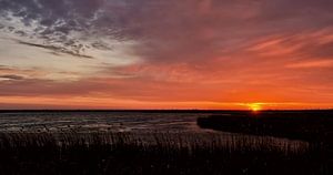 Sonnenaufgang auf den Oostvaardersplassen von René Vos