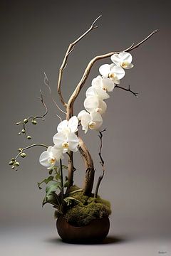 ikebana (japanse bloemsierkunst) von Gelissen Artworks