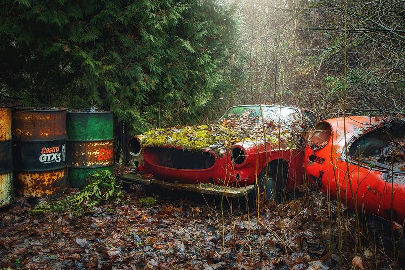 smiling - alter Volvo auf einem kleinen Autofriedhof von theresa niemann