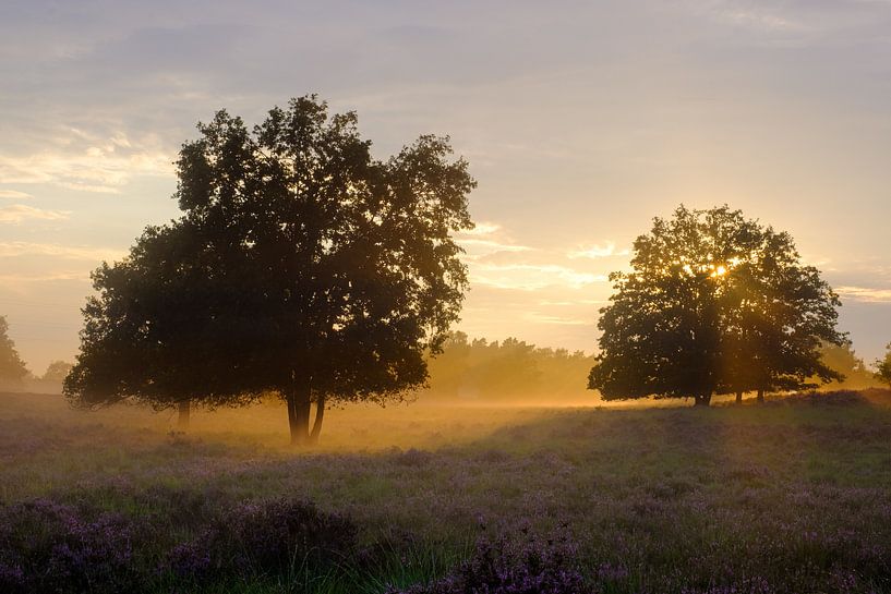 Mist bij Zonsondergang van Johan Vanbockryck