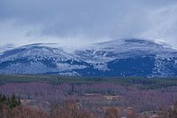 Prachtig gekleurd landschap met besneeuwde bergen in Schotland