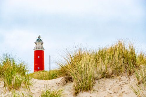 Vuurtoren van Texel vanuit duinen.