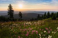Sonnenaufgang über dem Erzgebirge