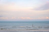 Tidal pile in the sea by Johan Vanbockryck thumbnail