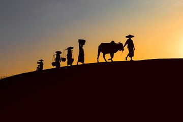 BAGHAN, le 12 décembre 2015 MYANMAR - Farmworkers dans la soirée pour le coucher de soleil sur le ch