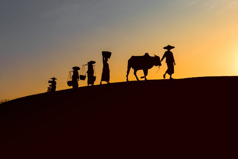 BAGHAN, DECEMBER 12 2015 MYANMAR - Farmworkers in the evening for the sunset on the way home. The My by Wout Kok