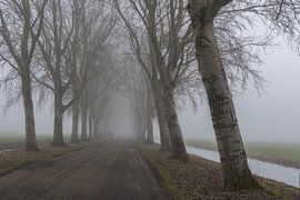 Radfahrer im Nebel