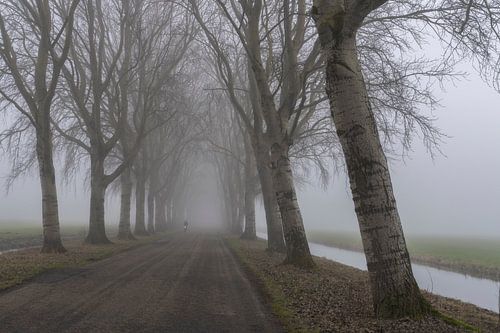 Fietser in de mist
