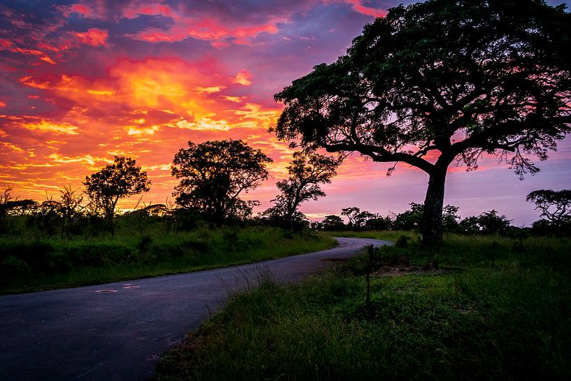 Zonsopgang in Umflozi Game reserve, Zuid Afrika van Rob Reedijk