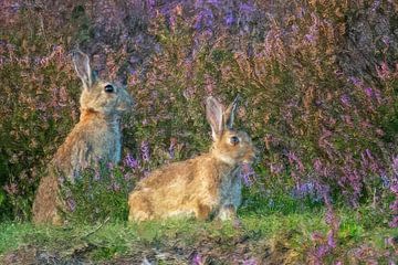 Lapins sur la lande - peinture sur Gianni Argese