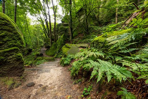Mullerthal, 'Little Switzerland' Luxembourg