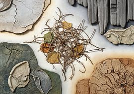 Clay Pieces, Twigs and Leaves Still Life by Markus Gann