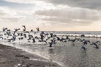 Strand Wijk aan Zee