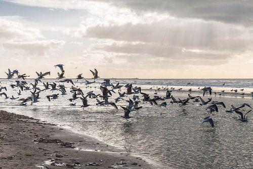 Strand Wijk aan Zee