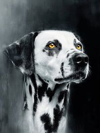 Dalmatian dog #dog