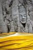 La tête de Bouddha dans l'arbre sur Sebastiaan Hamming Aperçu