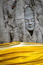 La tête de Bouddha dans l'arbre par Sebastiaan Hamming Aperçu