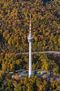 Fernsehturm in Stuttgart von Werner Dieterich Miniaturansicht