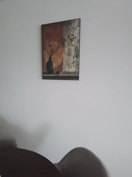Japandi Still Life