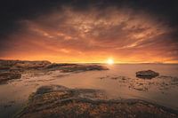 Stony coast in Sweden