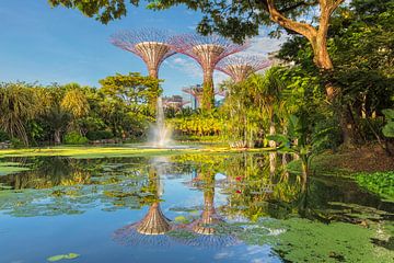 Supertrees, Gardens by the Bay, Singapore van Markus Lange