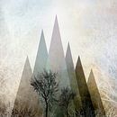 TREES IV by Pia Schneider thumbnail