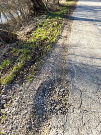 Schlagloch auf einer deutschen Straße