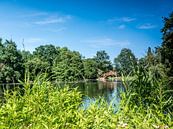 Parklandschap van het Johannapark in Leipzig van Animaflora PicsStock thumbnail