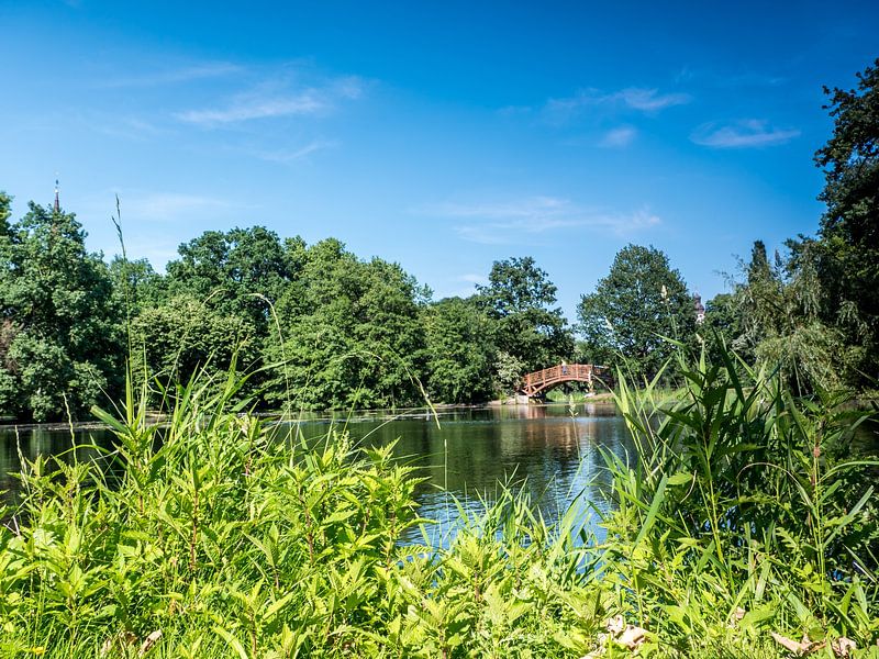 Parklandschaft des Johannapark in Leipzig von Animaflora PicsStock