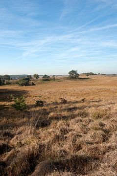 Nationaal Park Veluwezoom Gelderland van Richard Wareham