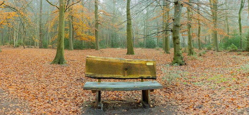 The first bench to the Achterwei in Beetsterzwaag Opsterland Friesland by Ad Huijben