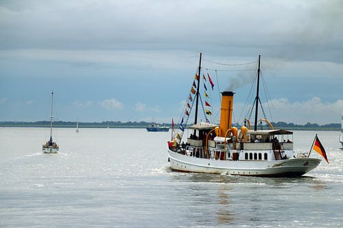 Stoomschip Schaarhörn