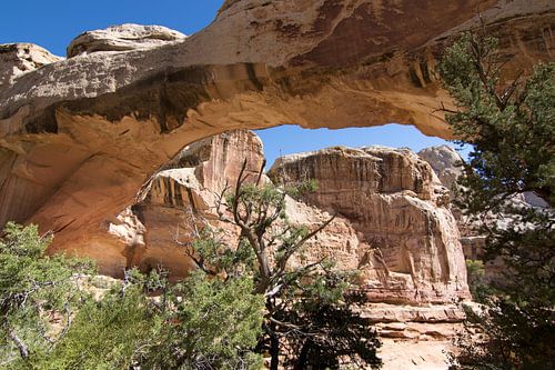 Capitol Reef NP-4