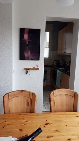 Ein Flamingo Trinkt am Wasserloch