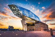 The spaceship has landed  (Haven van Antwerpen 10-06-2017)  van Etienne Hessels thumbnail