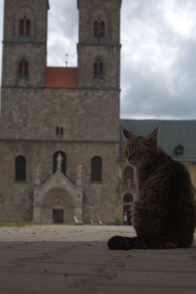 Poes von Eric Verhoeven