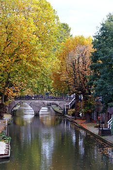 Utrechtse grachten in de herfst