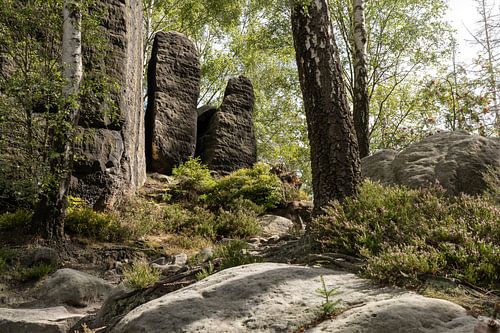Frienstein, Saksisch Zwitserland - Berken Sprookjesbos