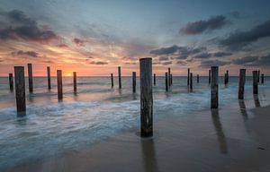 Village de palmiers de Petten au coucher du soleil