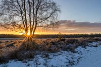 Zonnestralen op de Hoorneboegse Heide