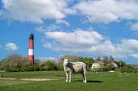 Vuurtoren, Pellworm, Noord-Friesland, Duitsland van Alexander Ludwig thumbnail