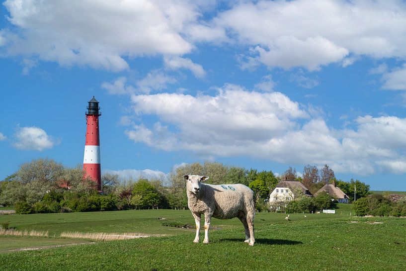 Vuurtoren, Pellworm, Noord-Friesland, Duitsland van Alexander Ludwig