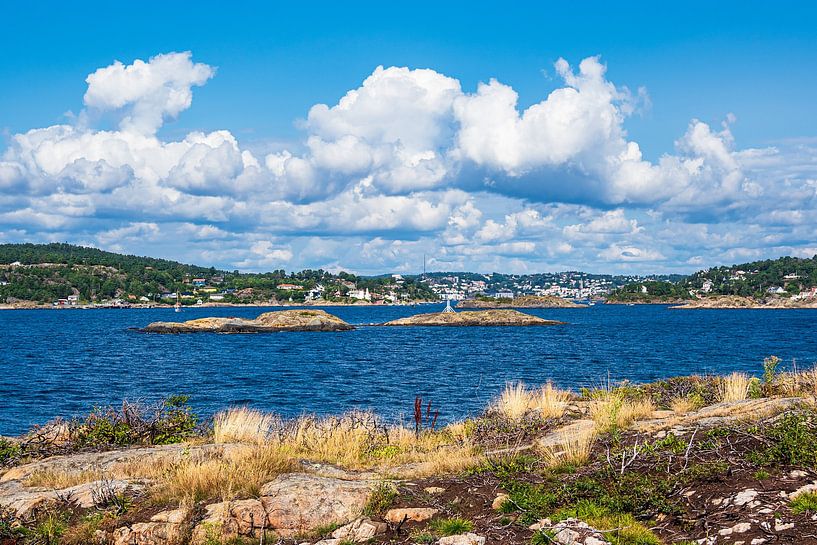 Uitzicht op de stad Arendal in Noorwegen vanaf het eiland Merdø van Rico Ködder
