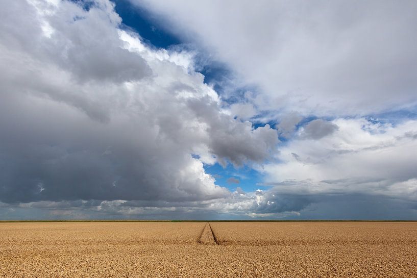 Reiderwolderpolder V van Fonger de Vlas