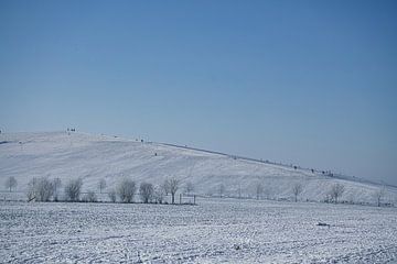 Winterlandschap. Vorst en sneeuw van Martin Köbsch