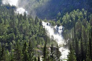 Wasserfall im Wald von Rogier Vermeulen